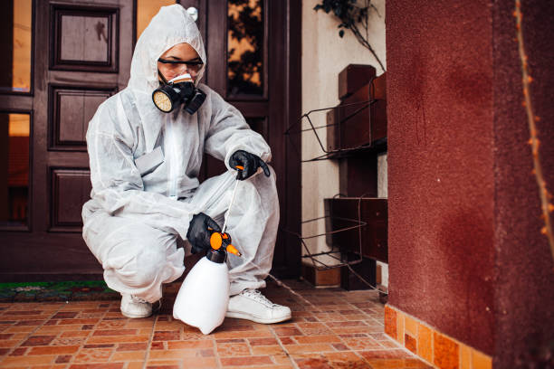 Attic and Crawl Space Rodent Treatment in Saxon